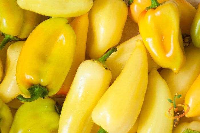 Close-up of fresh yellow jalapeño peppers with smooth skin and green stems