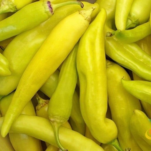 Buy Yellow Banana Sweet Pepper seeds online from the USA now for high yield growth. Matures in 75-85 days with sweet, colorful peppers at any stage of growth.