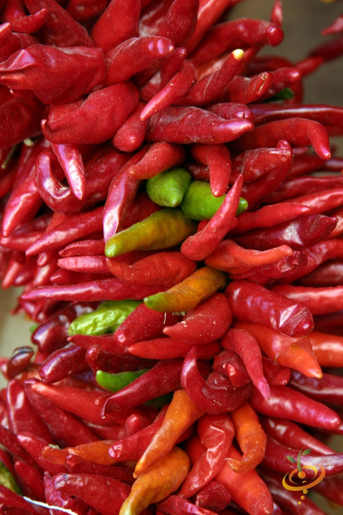 Close-up of vibrant red, green, and orange Santa Fe Grande peppers clustered together