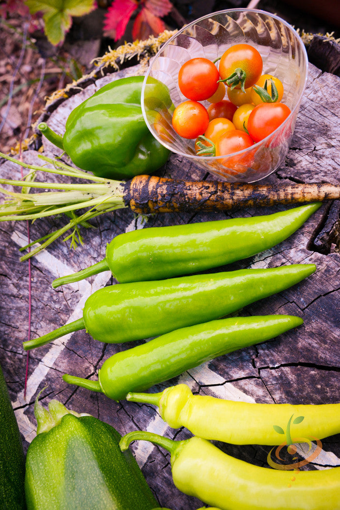 Sweet banana pepper seeds from SeedsNow, showing vibrant green pepper buds ready for planting.