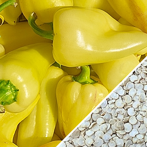 Close-up of yellow jalapeño peppers and pepper seeds