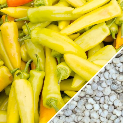 Hungarian Hot Wax peppers with seeds close-up