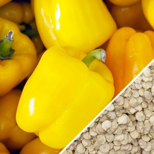 Bright sunbright yellow sweet bell peppers and seeds close-up
