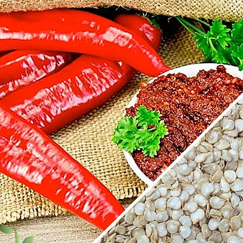 Red Tabasco peppers beside ground pepper paste and white Tabasco pepper seeds on burlap with parsley garnish