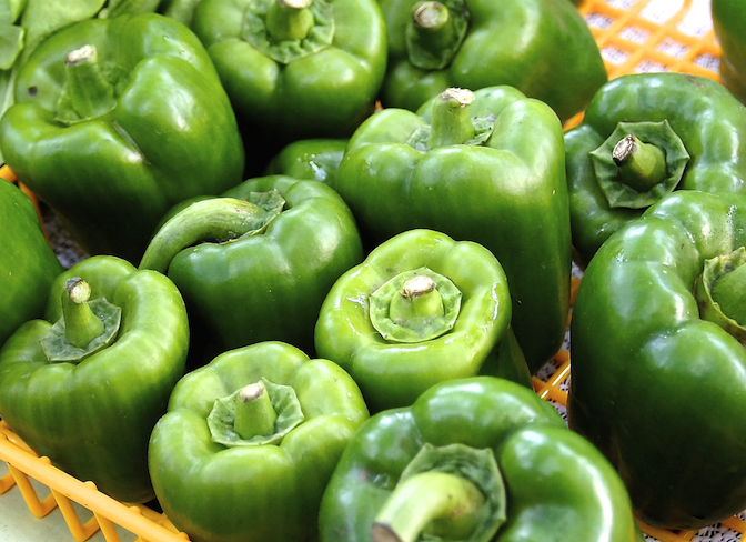 Sweet Emerald Giant pepper seeds from SeedsNow, showcasing vibrant green pepper plants with healthy foliage.