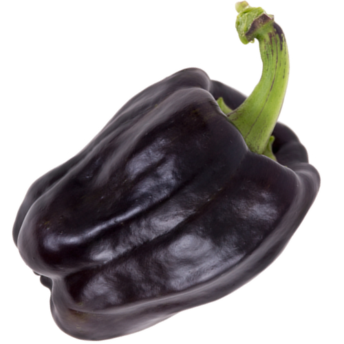 Buy Chocolate Sweet Bell Pepper seeds online from the USA! These early, high-yielding peppers are sweet, crunchy, and ripen in multiple colors for a fun experience.