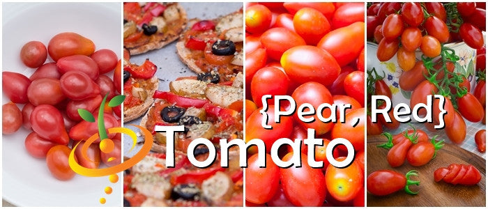 Red indeterminate pear tomato seeds from SeedsNow, showing vibrant seed packet with images of ripe pear-shaped tomatoes.