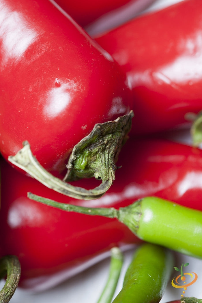Close-up of Thai hot pepper seeds in a small container, showcasing vibrant seed details from SeedsNow.