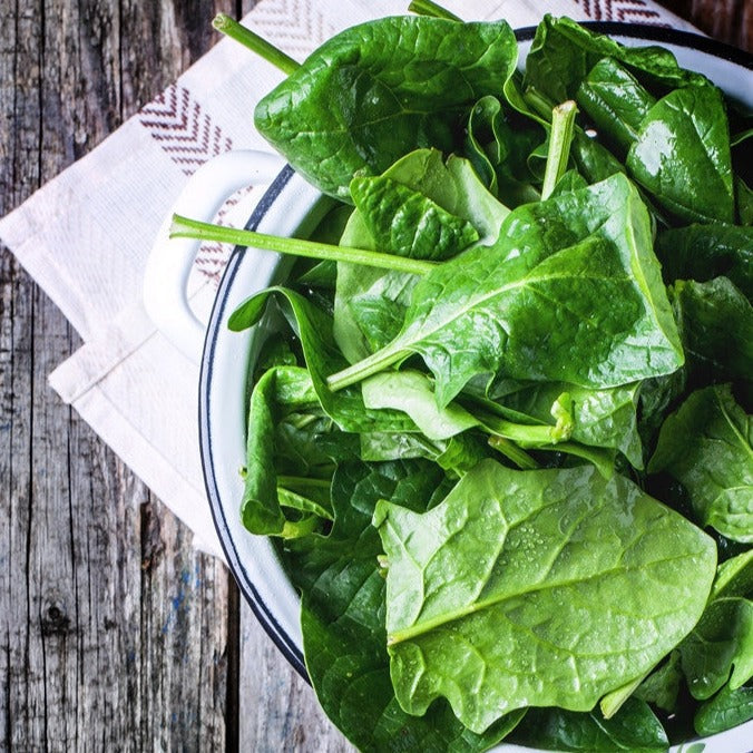 Buy high-quality America Spinach seeds online from the USA now!