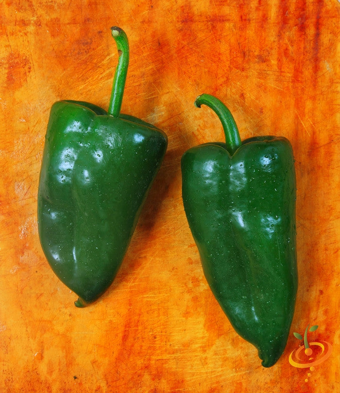 Hot Poblano pepper seeds from SeedsNow, showing vibrant green pepper seeds ready for planting.