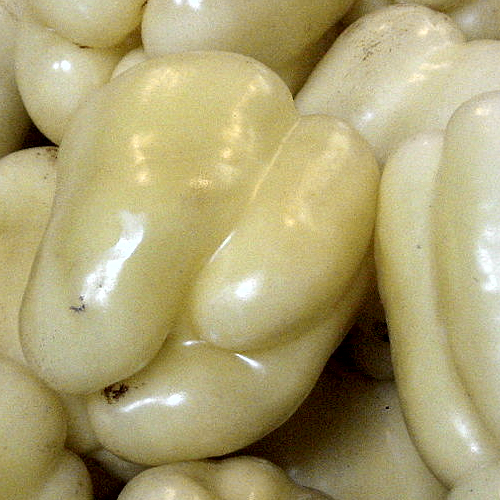 Buy White Cloud Sweet Bell Pepper Seeds Online from USA for high yields, sweet crunch, for fresh eating or cooked dishes. Grows well in containers and tight spaces.