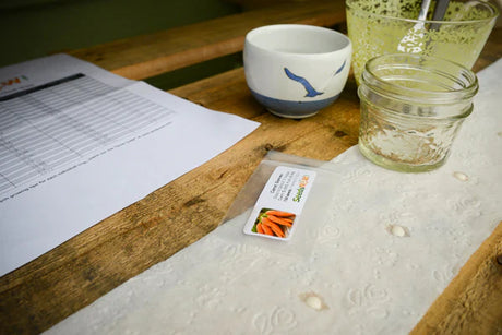 How to Use 🧻 Toilet Paper to Make Your Own Seed Tape