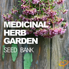 All-in-One Medicinal Herb Garden Seed Bank with 20 herb seed varieties and expanding soil pods for natural remedies and sustainable gardening