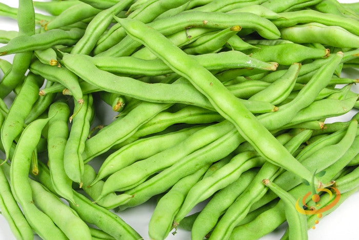 Bean (Pole) - Kentucky Wonder, Brown.