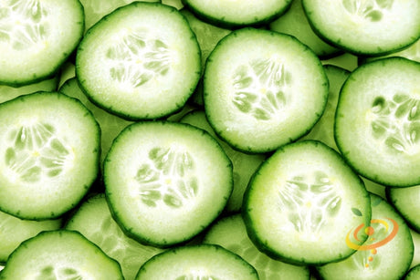 Fresh green cucumber from SeedsNow, showcasing smooth skin and elongated shape, ideal for salads and fresh dishes.