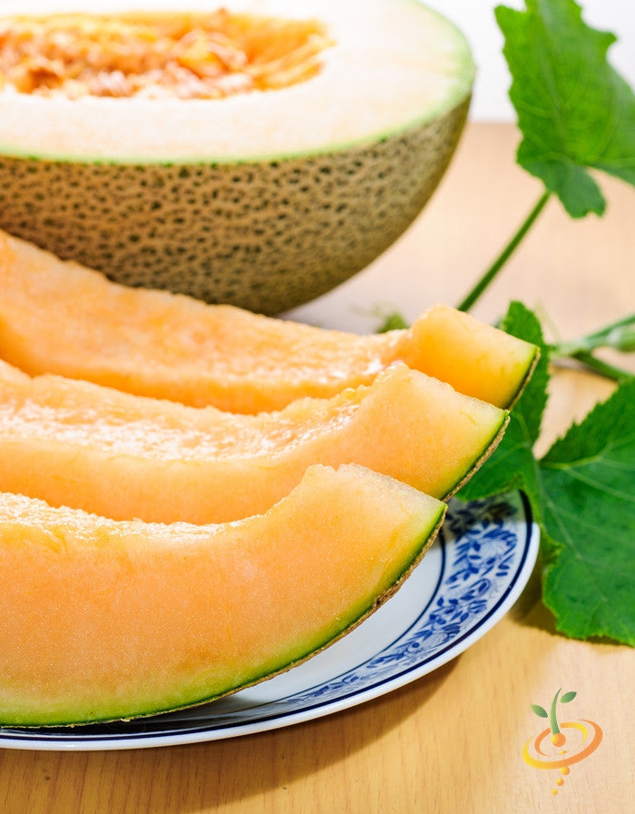 Melon - Planters Jumbo.