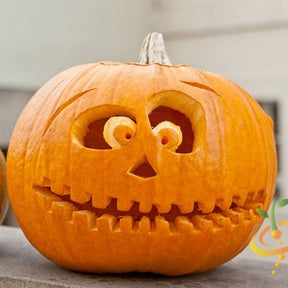 Pumpkin Jack O' Lantern seeds by SeedsNow, showing vibrant orange pumpkin seeds ready for planting or display.
