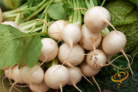 Golden Globe turnip seeds from SeedsNow, with round yellow turnip bulbs and green leafy tops in a natural setting.