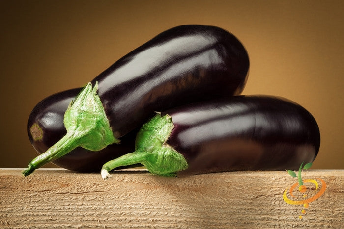 Eggplant - Blackbeauty.