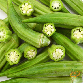 Clemson Spineless okra plant with green pods, grown from SeedsNow okra seeds, in a garden setting.