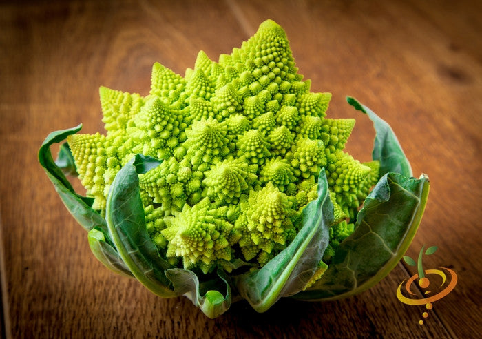 Broccoli - Romanesco Italia.