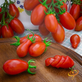 Red indeterminate pear tomato SeedsNow seed packet, showing vibrant ripe tomatoes and lush green foliage on the packaging.