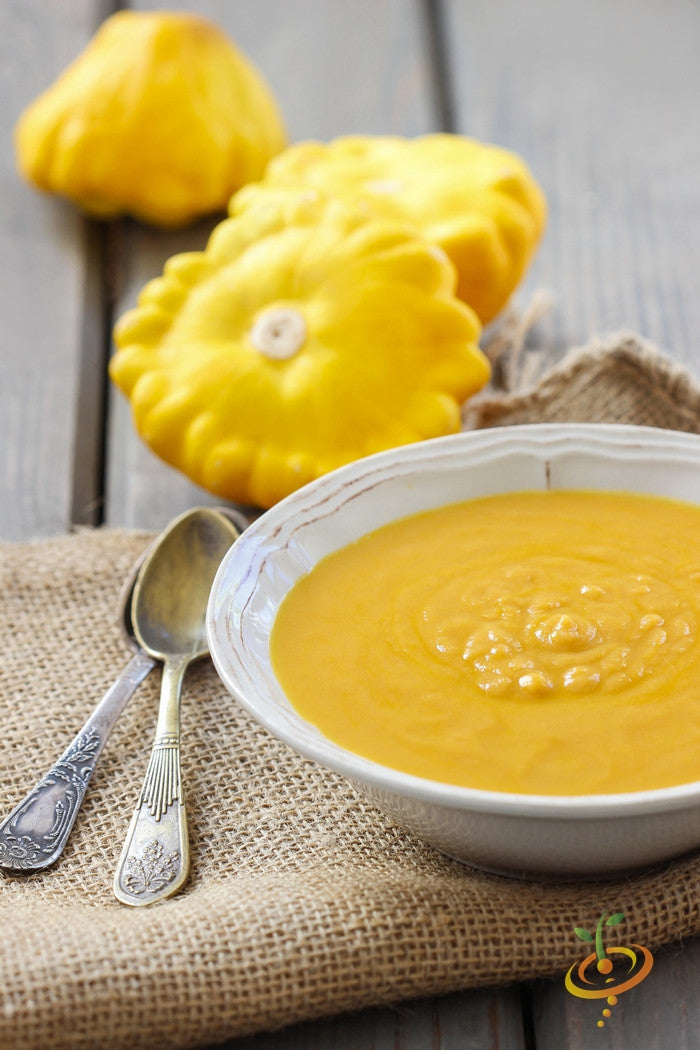 Squash (Summer) - Scallop, Golden Bush.