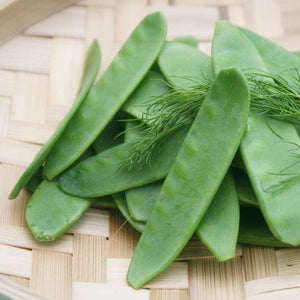 Snow pea seeds from SeedsNow, showing vibrant green pea pods and seeds ready for planting.