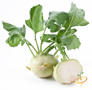 Kohlrabi - Delicatesse, White.