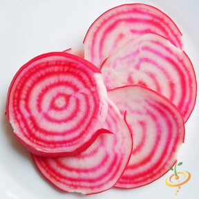 Chioggia beet seeds from SeedsNow, showing vibrant red and white striped beet seed packets on a white background.