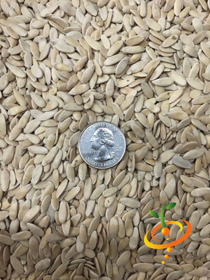 Cucumber - Armenian, Long Green (Metki Serpent Melon) - SeedsNow.com