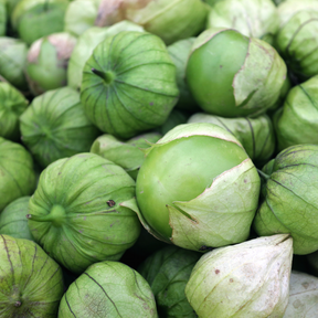 Tomatillo Verde seeds from SeedsNow, small green seeds for growing fresh tomatillo plants.