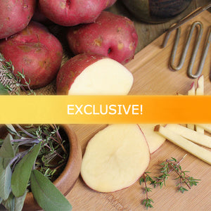 Organic Red La Soda potato seed from SeedsNow-Potatoes, showcasing a vibrant red heirloom potato with smooth skin.